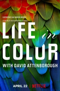 Жизнь в цвете с Дэвидом Аттенборо (2021) онлайн